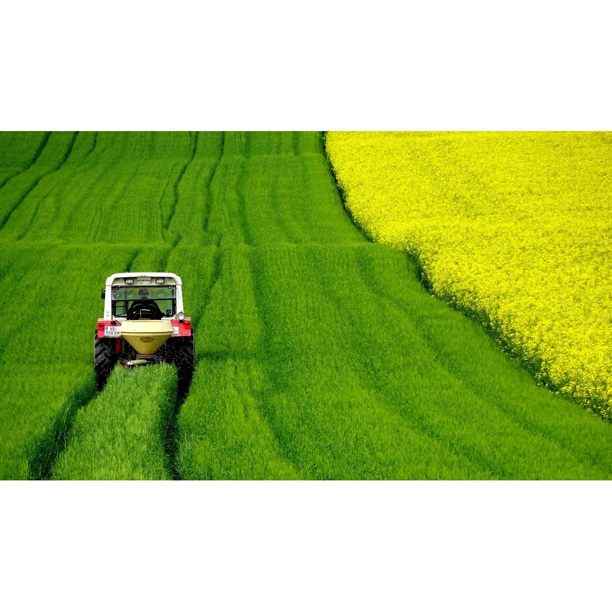 ISO 22000, HACCP, FSSC Gains