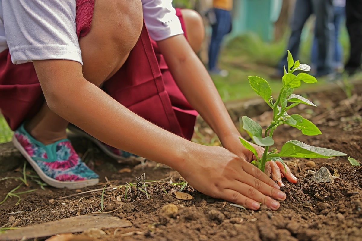 ISO 14001 Certification